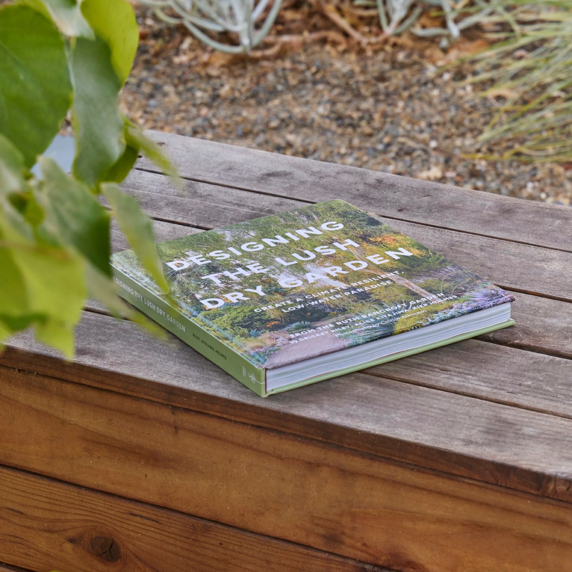 Designing The Lush Dry Garden — Flora Grubb Gardens Plant Nursery